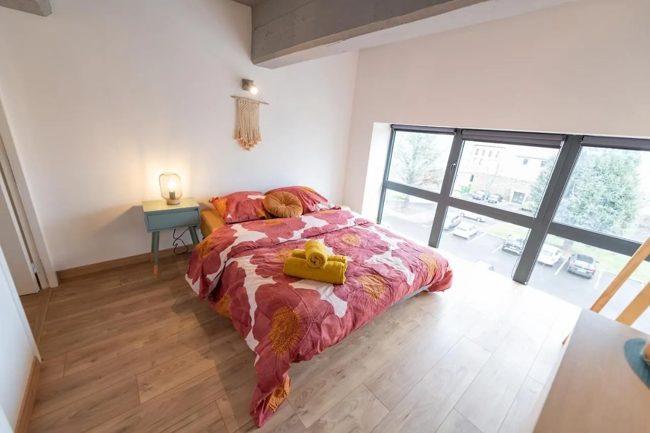 公寓 Welcome Loft 圣艾蒂安